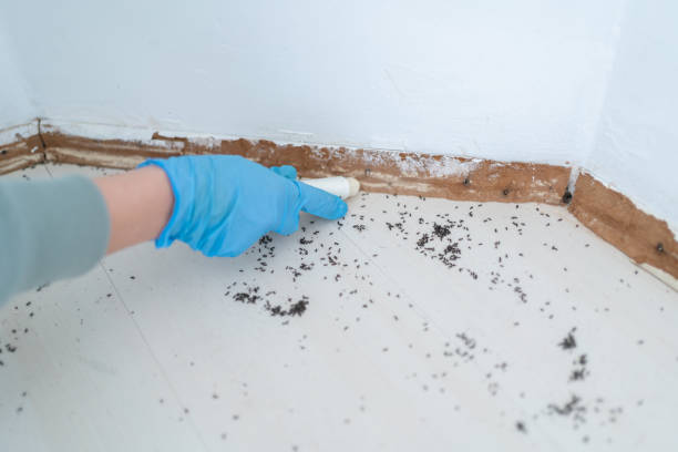 Best Best Pest Control Companies  in North Utica, IL